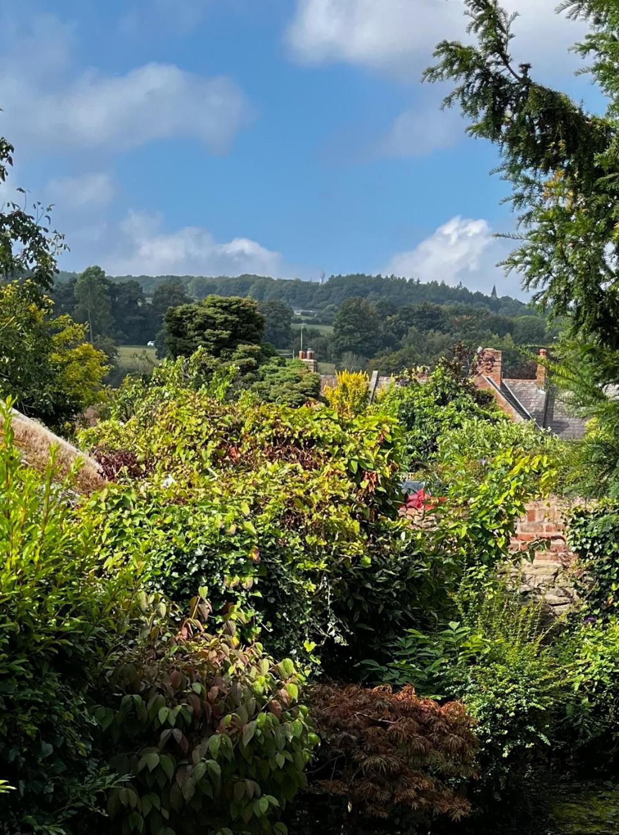 Flower Cottage By Ludlow Castle With Onsite Parking Kültér fotó